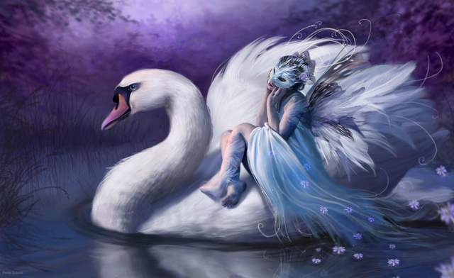 WHITE SWANS