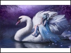 WHITE SWANS