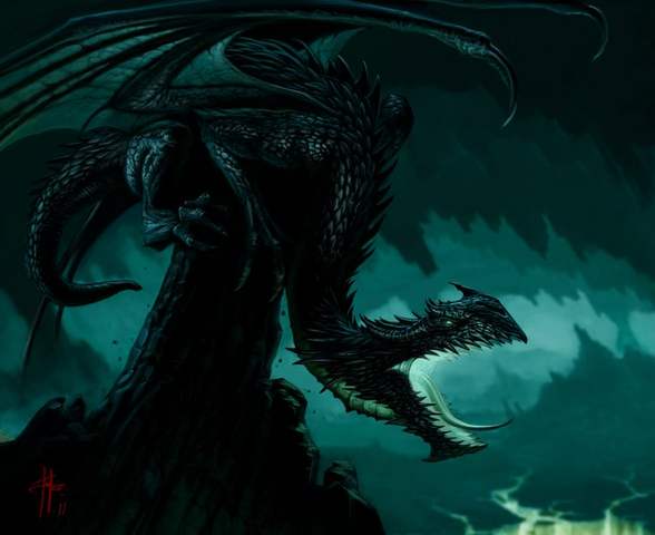 BLACK DRAGON