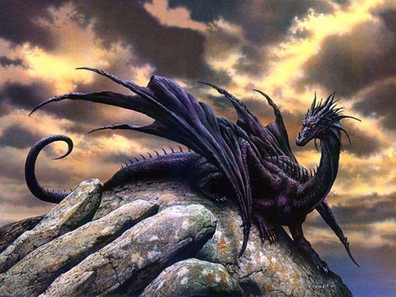 BLACK DRAGON